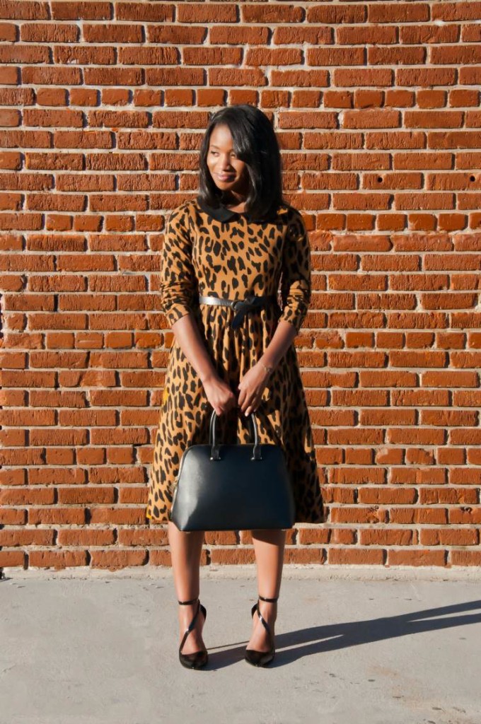 that leopard dress via dainty jewells 2 - downtown demure