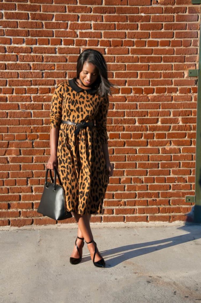 that leopard dress via dainty jewells 3 - downtown demure