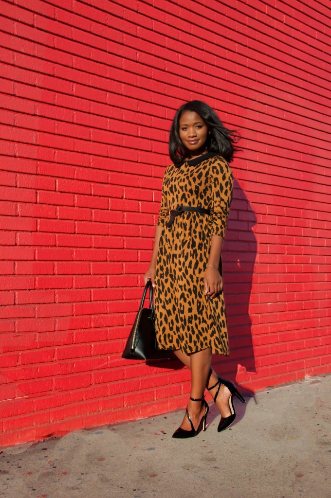that leopard dress via dainty jewells - downtown demure